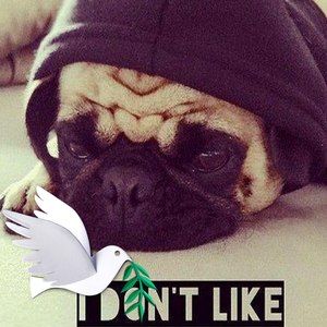 Meet your Posher, Alexa